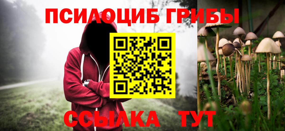 Псилоцибиновые грибы прущие грибы  Вход с VPN  Петропавловск-Камчатский 